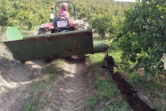 E249E4DB-D96C-443D-#152B2F4