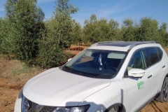 FB_IMG_1513805003232