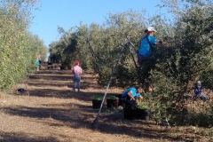 IMG_20171003_1003132 (2)