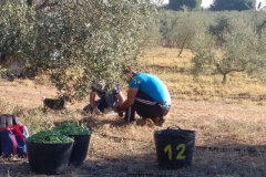 IMG_20171003_1005172 (2)