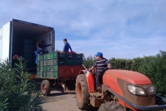 IMG_20171123_1302028 (2)