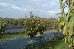 IMG_20171128_1018267 (2)