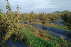 IMG_20171128_1018299 (2)