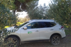 IMG_20171221_1231252 (2)