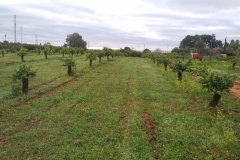 IMG_20180103_1000043