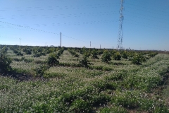 IMG_20180115_1130371 (2)