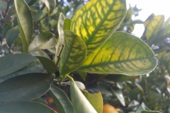 IMG_20180125_1151200