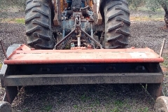 IMG_20180201_104504_7 (2)