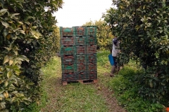 IMG_20180205_120343_6 (2)