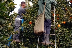 IMG_20180205_120400_0 (2)