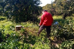 IMG_20180208_120106_4 (2)