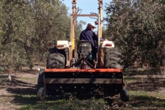 IMG_20180213_120039_2