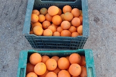 IMG_20180214_113854_8 (2)