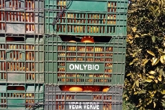 IMG_20180214_125249_5 (2)