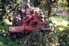 IMG_20180215_095633_9 (2)