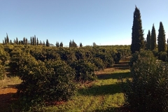 IMG_20180221_100156_5 (2)